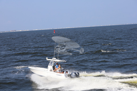 al0250LT.contender.06