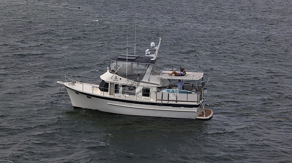 dream.2150