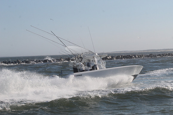 contender.8121