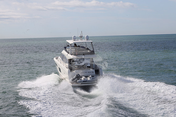 BANKRUPT SEA III.101