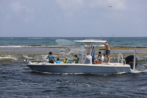 FL0085SW.3