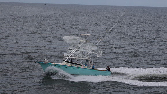 697155.hull's sea lover.ponce inlet fl.9441