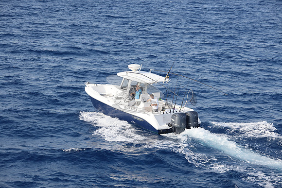 EVERGLADES29.DK BLUE.12