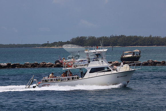 BIG COM-OCEAN.NEWTON46.6
