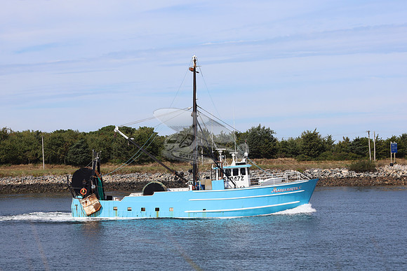 620472.marguerite c.4884