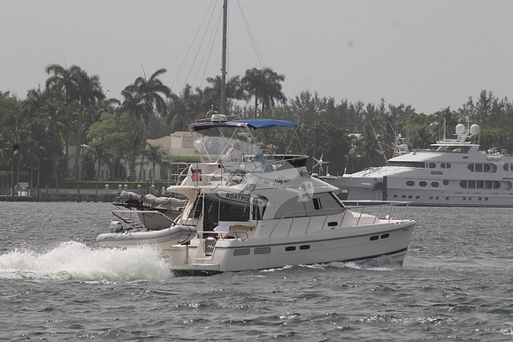 DO1285872.CALEE'S CURE-ALL.FREEPORT FL.5
