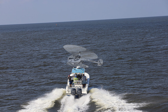 al0065rf.02
