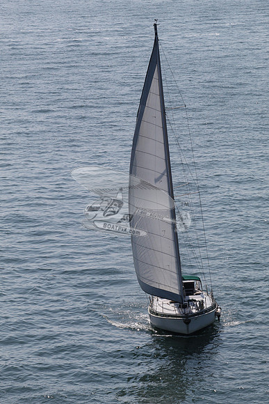 64.smaland.anna maria fl.9580