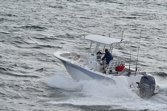 fl0989tm.03