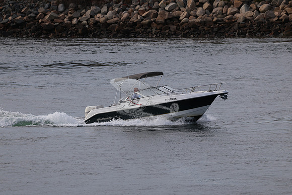 ms4316BR.1
