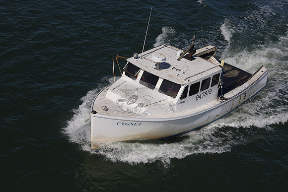 947819.CYGNET.GREEN HARBOR MA.03