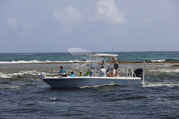 FL0085SW.2