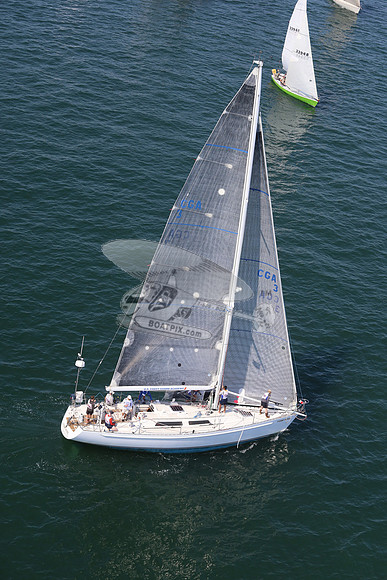 3.stormy petrel.3