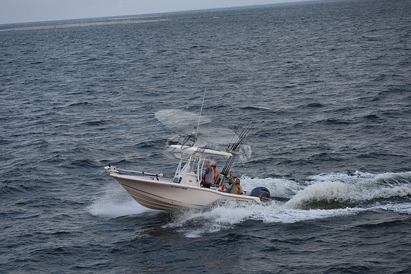 al0477vb.11