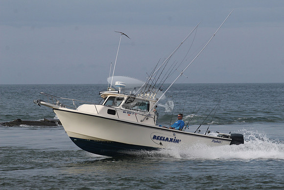 dl1315y.reelaxin'.5890