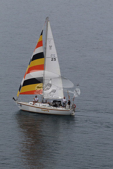 port huron.25.dragonfly.58636