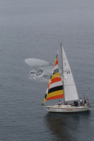 port huron.25.dragonfly.58639