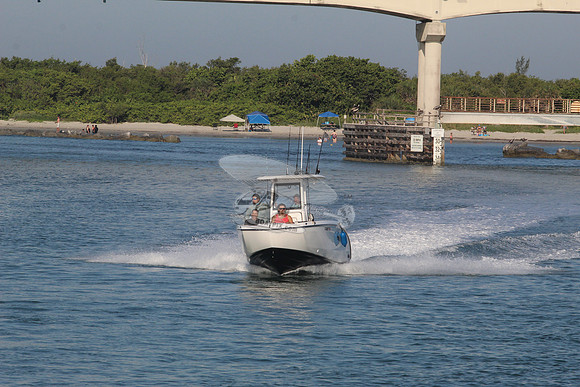 fl0335tf.1