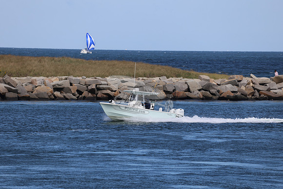 ms7700bv.5