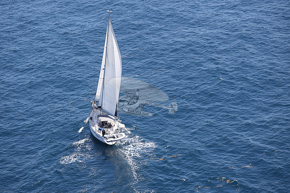 ELIZABETH ANN.ROYAL OAK MI.44