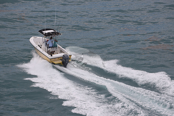 fl1505lp.07