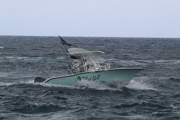 fl1368rs.full of bull.1834