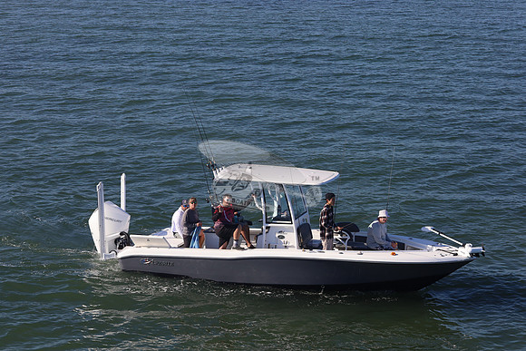 Crevalle.gray.4
