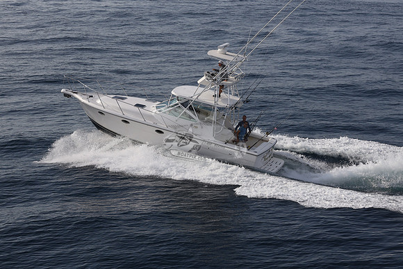 ANGLER MANAGEMENT.FTL.TIARA.13