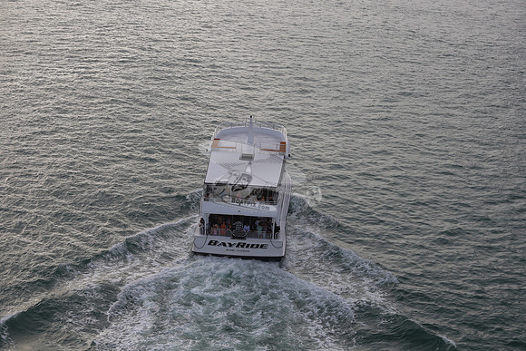 BayRide.miami.7