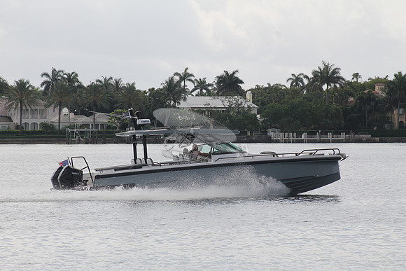 AXOPAR.IIA.NPB FL.8