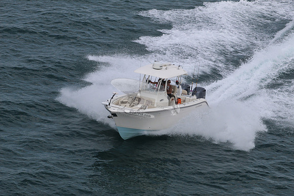 Cobia.2 yamaha.01