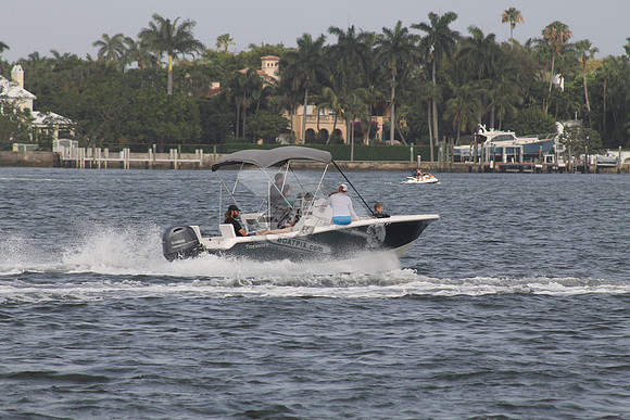FL0288ST.11