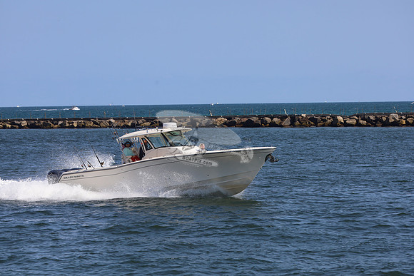 BIG KNOTS.FTL.GRADY WHITE.02