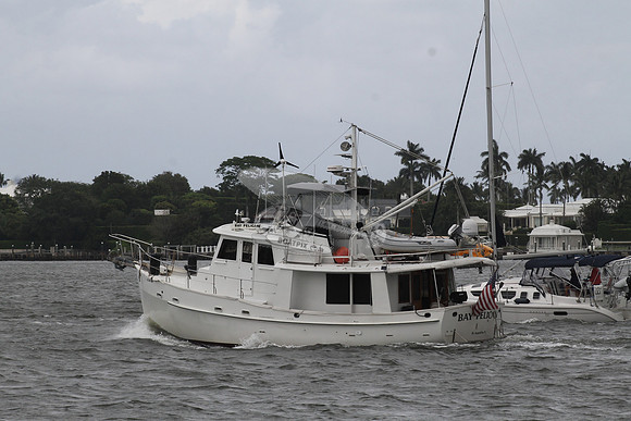 BAY PELICAN.FL7311.....07