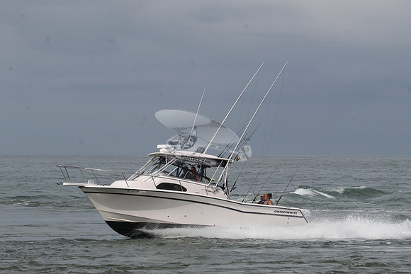 dl8.grady white.4495