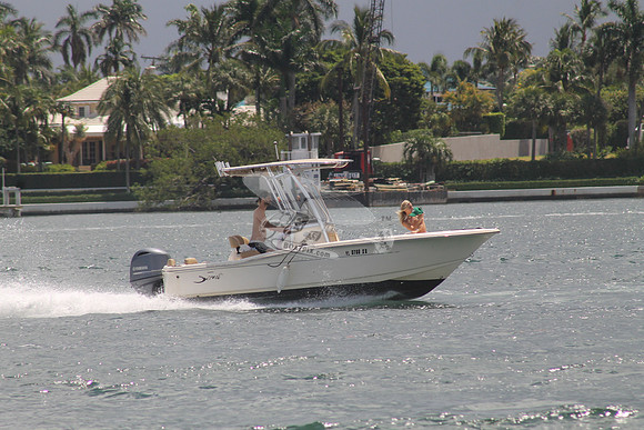 FL0786SX.03