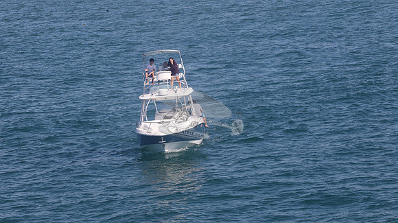 BOSTON WHALER BLUE HULL.2 MERC WHITE.9412