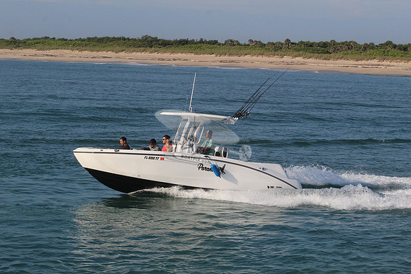 fl0335tf.6