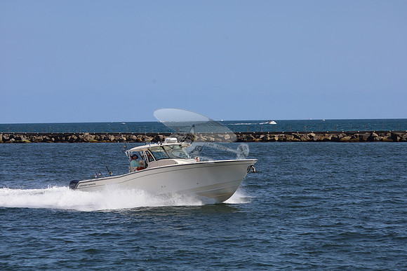 BIG KNOTS.FTL.GRADY WHITE.01