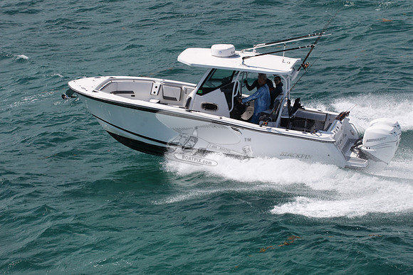 BLACKFIN.12