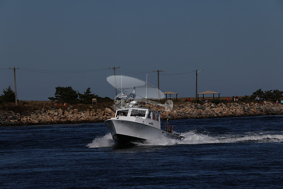 ms8866hy.09