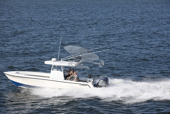 CONTENDER.2YAMAHA.206