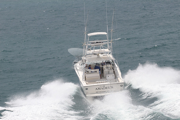 AMADEUS.KEYSTONE PT FL.06