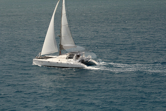 00000.carpe tentum.voyage.1978
