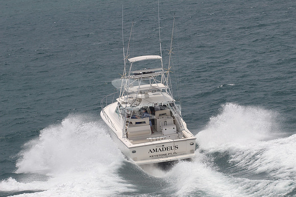 AMADEUS.KEYSTONE PT FL.08