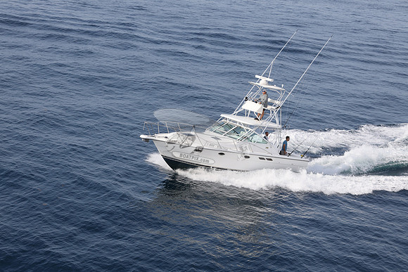 ANGLER MANAGEMENT.FTL.TIARA.21