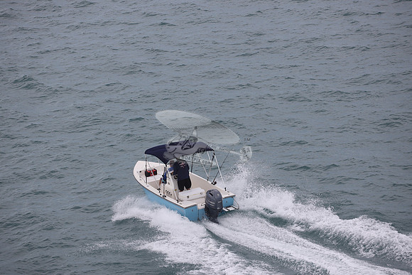 fl0786rt.01