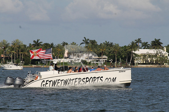 DOLPHIN CAT.SINGER ISLAND FL.06