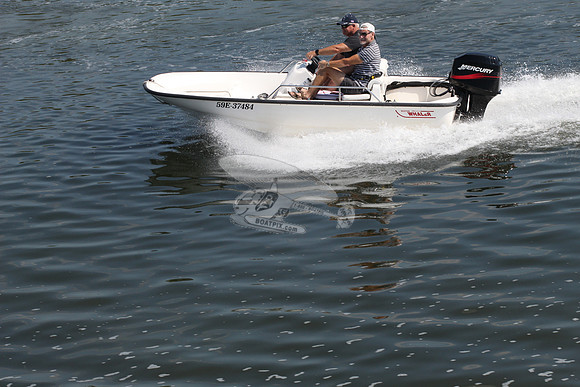 59E37484.BOSTON WHALER.7982