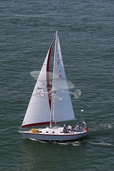 11.skalawag.4920